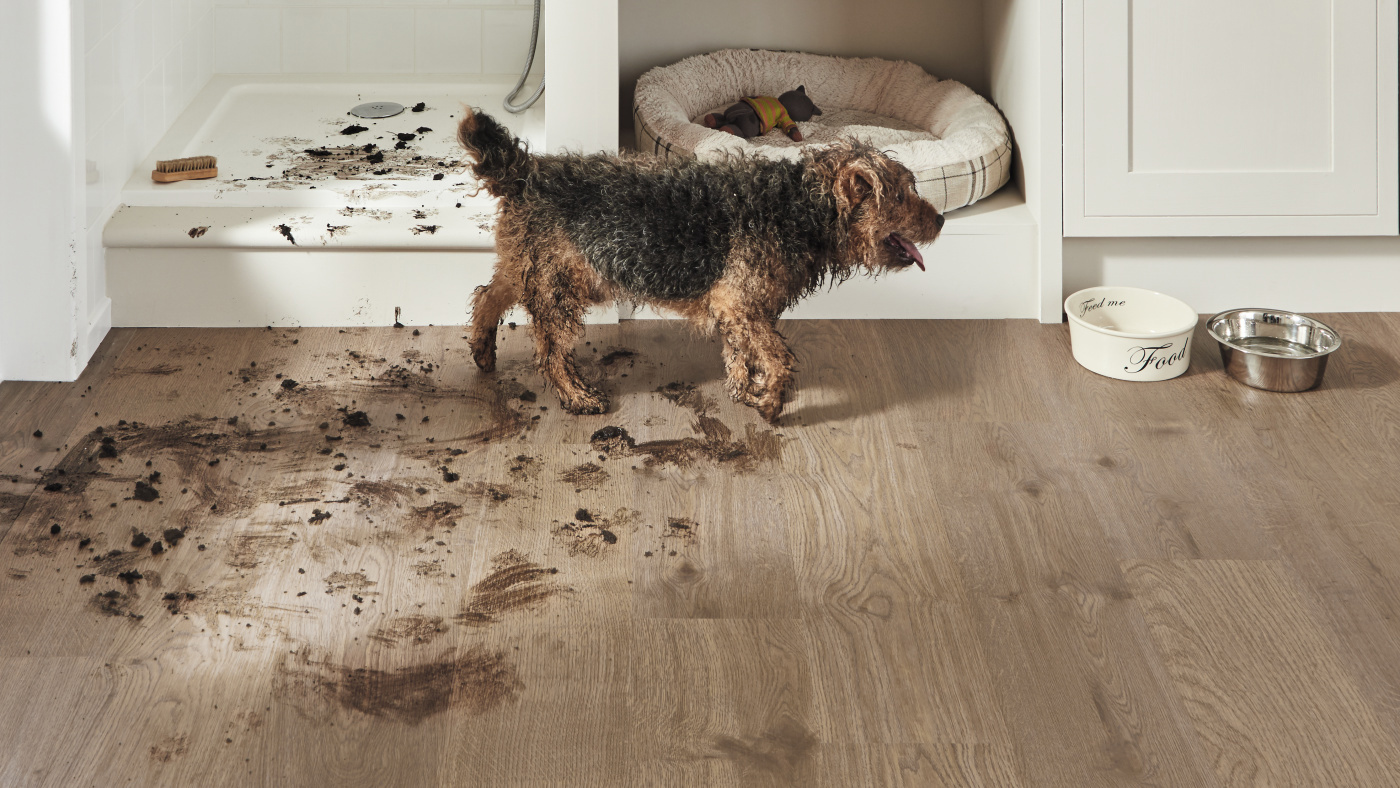 Dog creating muddy pawprints all over the Smoked Butternut RKP8107 laundry room floors